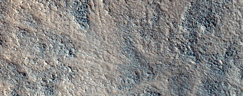 Polygons in Deuteronilus Mensae
