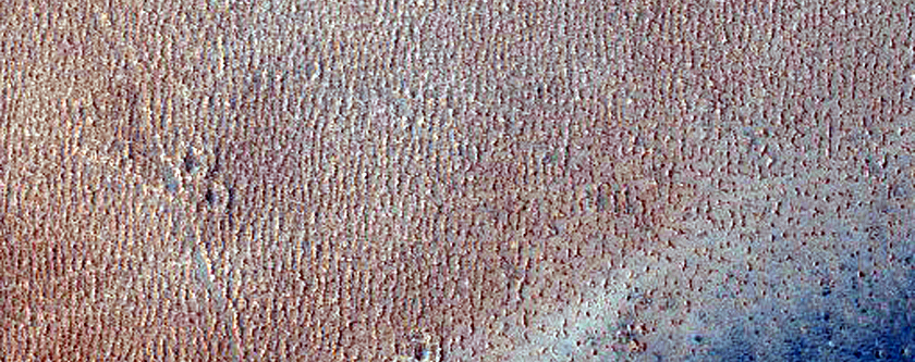 Syria Planum
