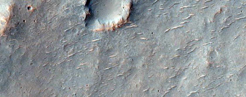 Terra Cimmeria

