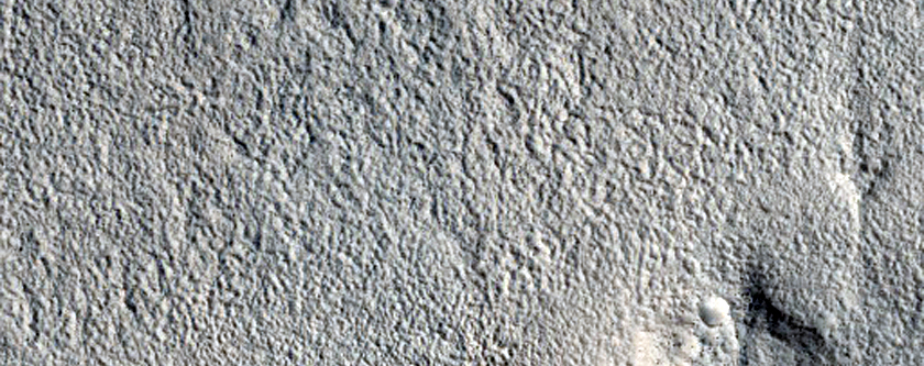 Mesa and Mounds in Utopia Planitia
