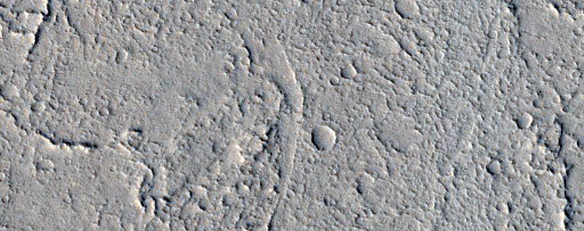 Sacra Sulci Lava
