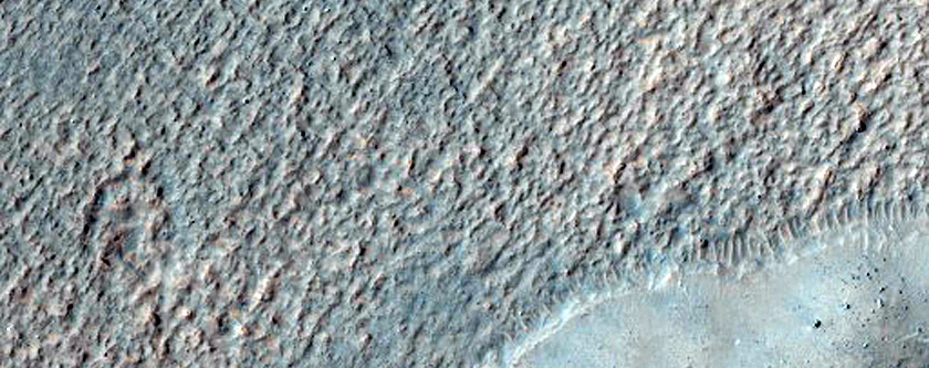 Gully Monitoring

