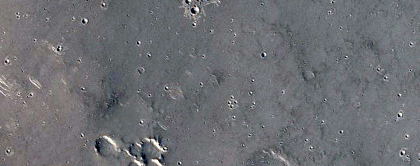 Flows in Elysium Region
