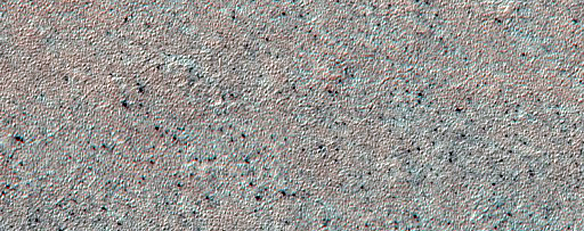 Immature Spider Terrain
