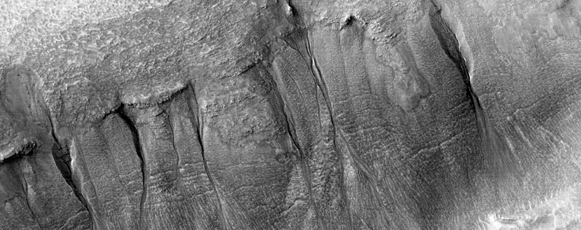 Gully Monitoring
