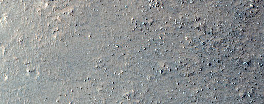 Gully in Nereidum Montes
