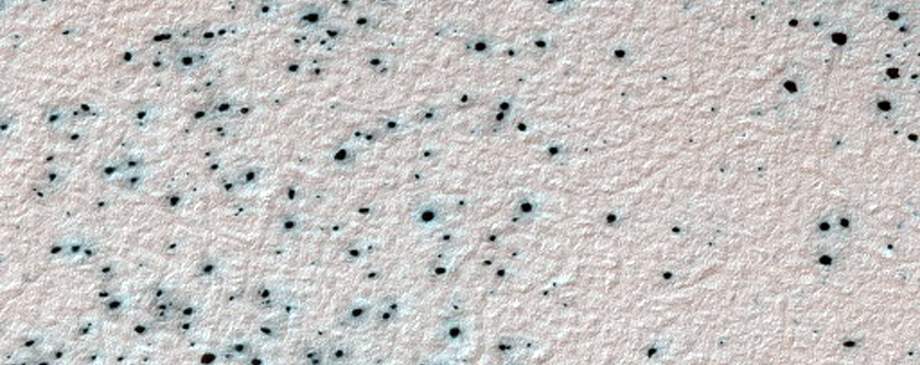 Sample of Possible Spider Terrain
