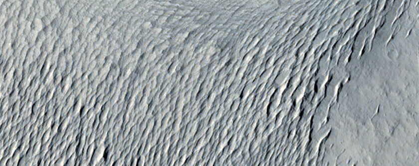 Knobby Terrain
