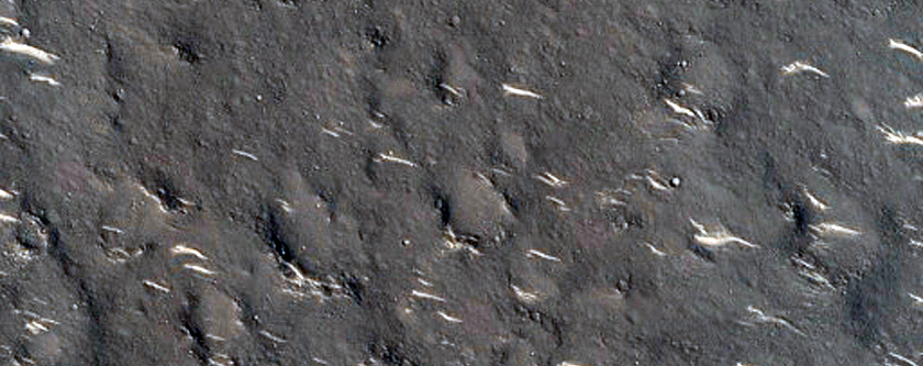 Utopia Planitia
