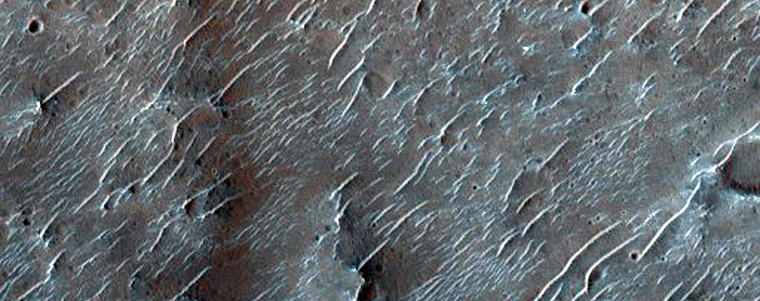 Ridges on Crater Floor in Sinus Sabaeus Region
