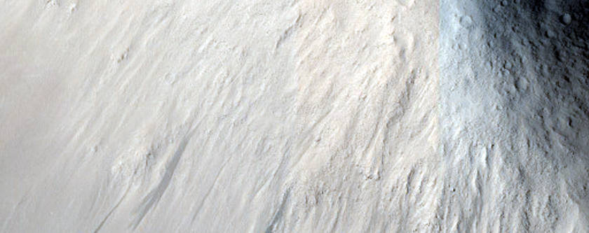 Hills in Elysium Planitia
