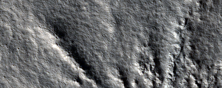 Radial Ridges with Central Depression in Tantalus Fossae
