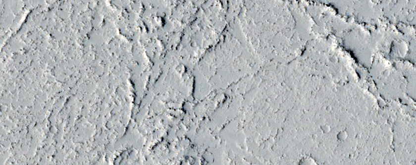 Platy-Ridged Surfaces in Zephyria Region