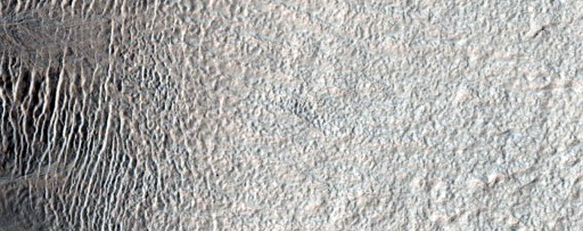 Gullied Crater Wall
