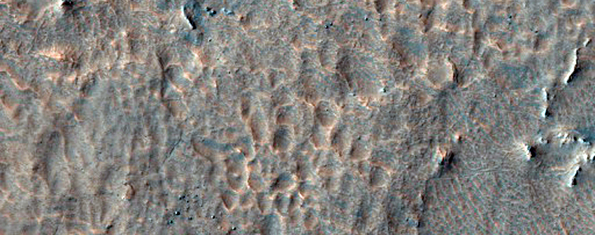 Gullies in Southern Mid-Latitude Crater