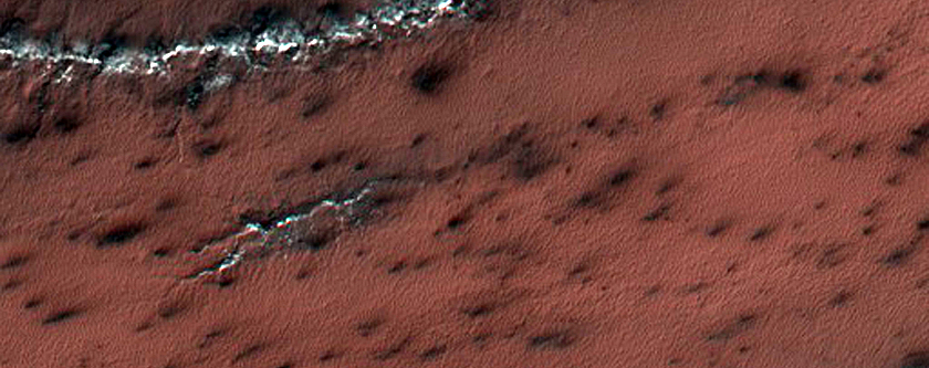 Spider and Other Interesting Topography