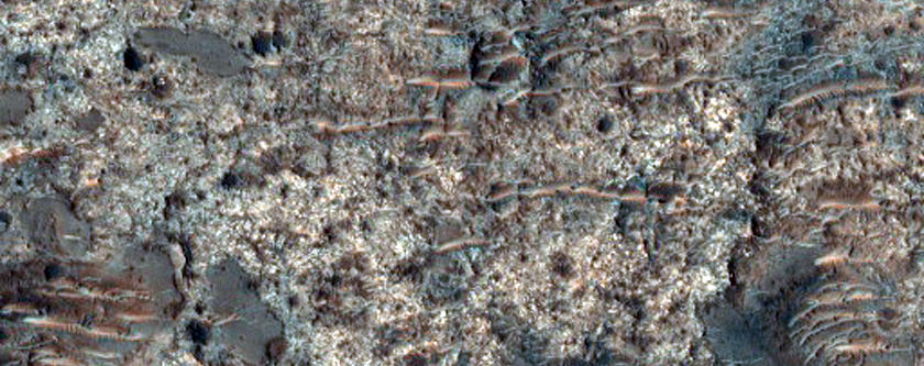 Bedrock in Terra Cimmeria
