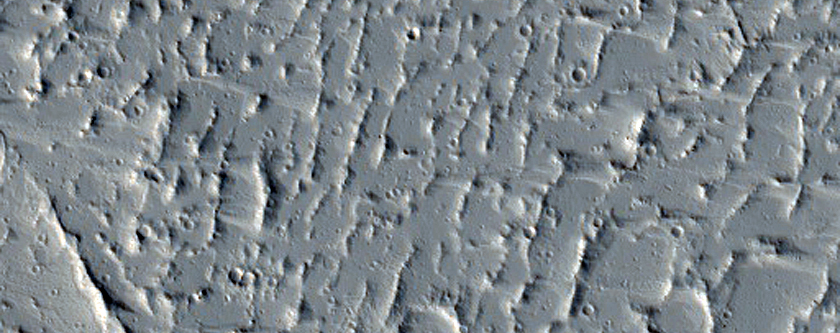 Platy-Ridged Lava