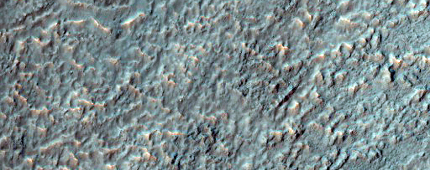Gullies in Crater on Floor of Newton Crater