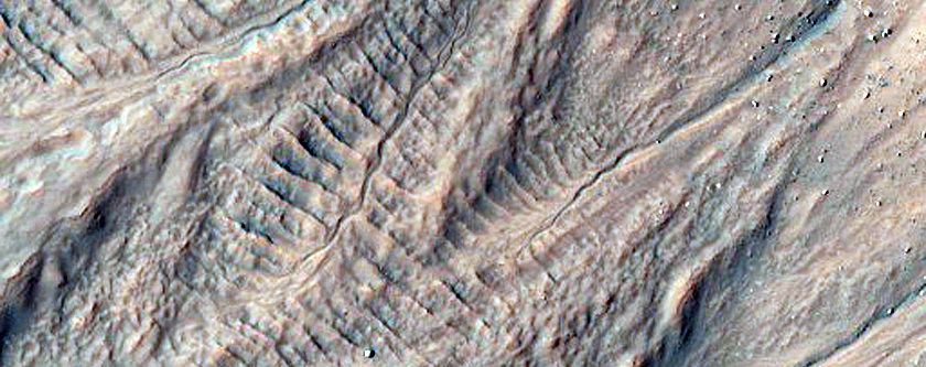 Gullied Crater in Terra Cimmeria