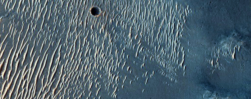 Central Incised Channel