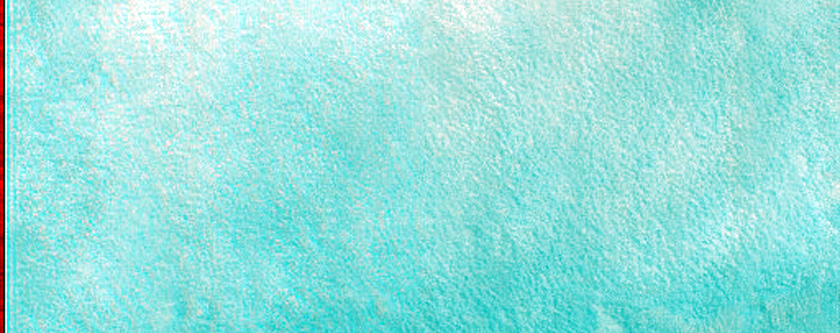 Gullies in Northern Mid-Latitude Crater