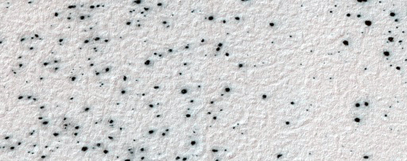 Sample of Possible Spider Terrain