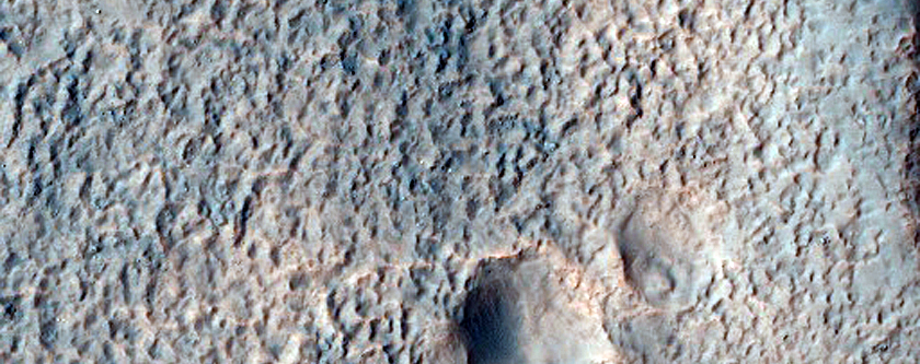 Gullies in Crater on Floor of Newton Crater