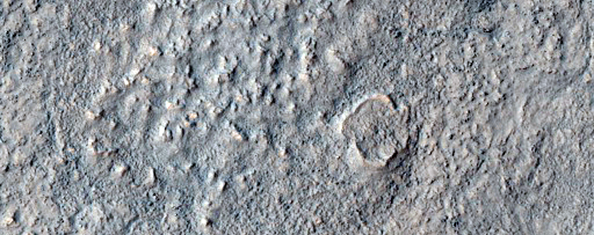 Mid-Latitude Terrain Sample