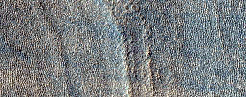 Mid-Latitude Terrain Sample