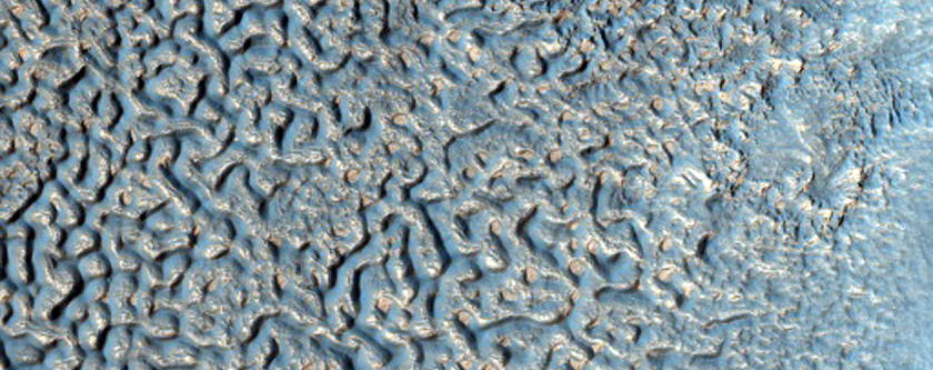 Channel Leaving Crater Near Warrego Valles
