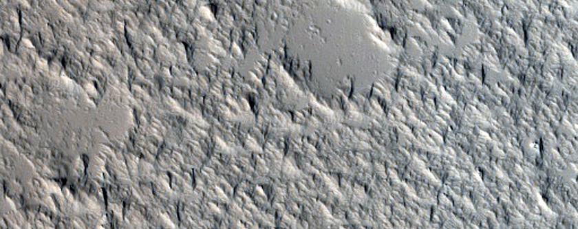 Lava Flows Near Olympus Mons