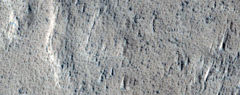 Landforms in Amazonis Planitia
