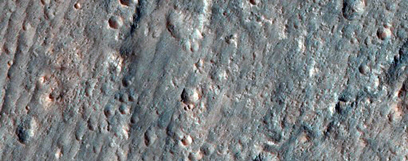 Bedrock with Diverse Minerals