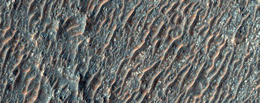 Terrain Sample
