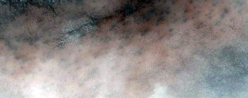 Spider and Other Interesting Topography