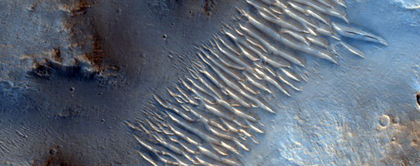 Group of Valleys in Tyrrhena Terra