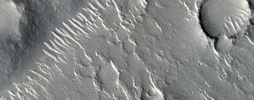 Cones in Isidis Planitia
