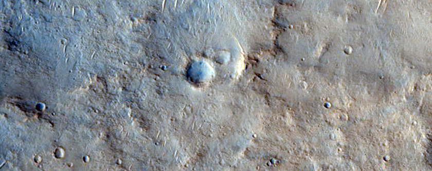 Possible Phyllosilicate-Rich Deposits West of Meridiani Planum
