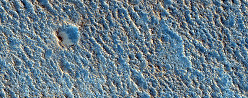 Possible Olivine-Rich Ejecta from Wahoo Crater
