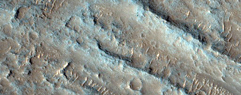 Flow Deposits on Floor of Melas Chasma
