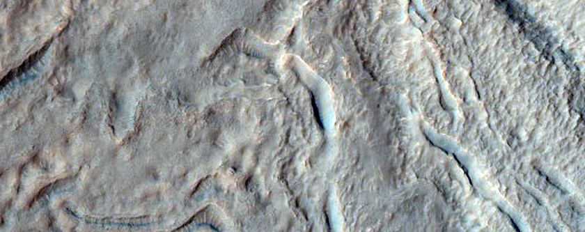 Gullies in Southern Mid-Latitude Crater
