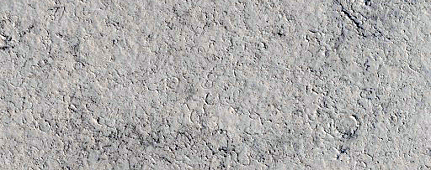 Elysium Planitia Lava
