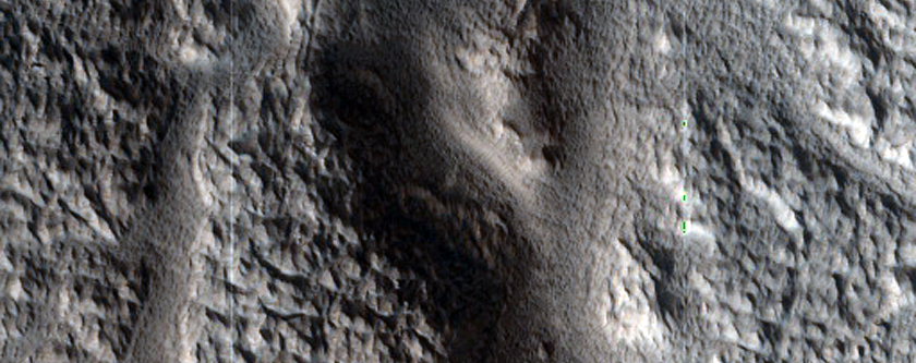 Channel Network in Protonilus Mensae
