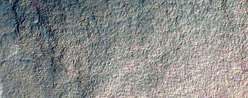 Gully Orientation Survey in Asimov Crater
