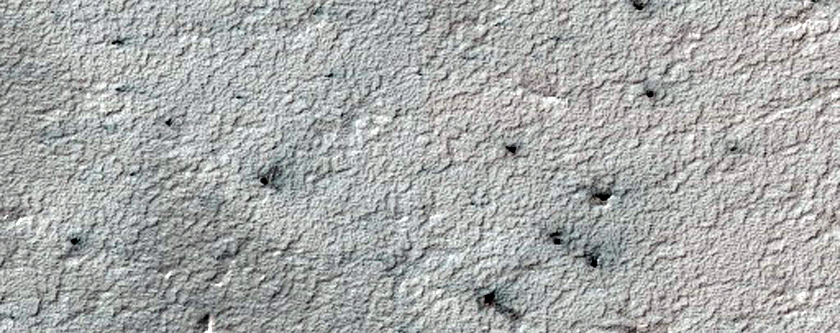 Spiders Not on South Polar Layered Deposits
