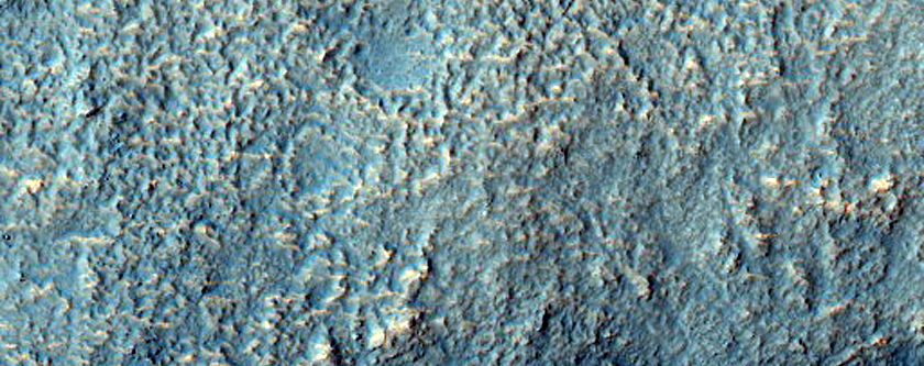 Channel Networks on Rim of Newton Crater

