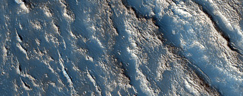 Flow Margin Fracturing Northwest of Elysium Mons
