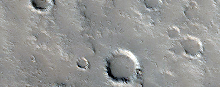 Sample of Southeastern Flank of Elysium Mons
