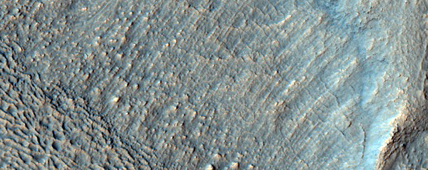 Gullies in Southern Mid-Latitude Crater
